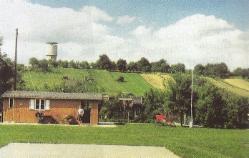 Historie der Gartenfreunde Tamm e.V.