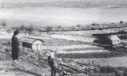 History der Gartenfreunde Tamm